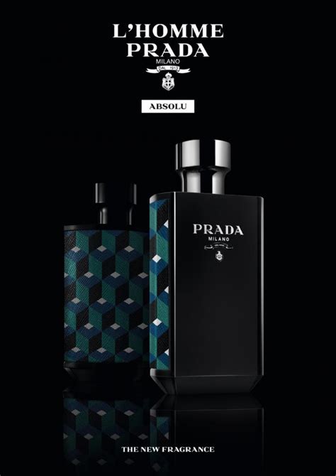 l'homme prada absolu basenotesw|Prada l'homme longevity.